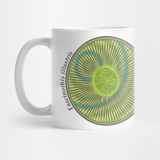 Diatom - Fascinorbis illustris (scientific) Mug